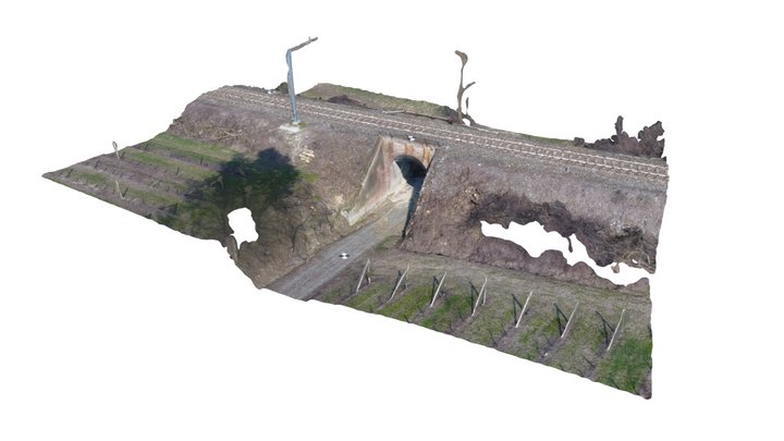 attraversamento ferroviario 3D Model