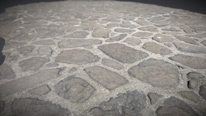 Castle Stone Floor 3D Model