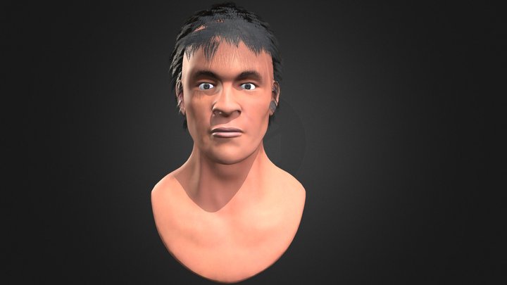 Bruce Lee Bust - Low Resolution Hair 3D Model