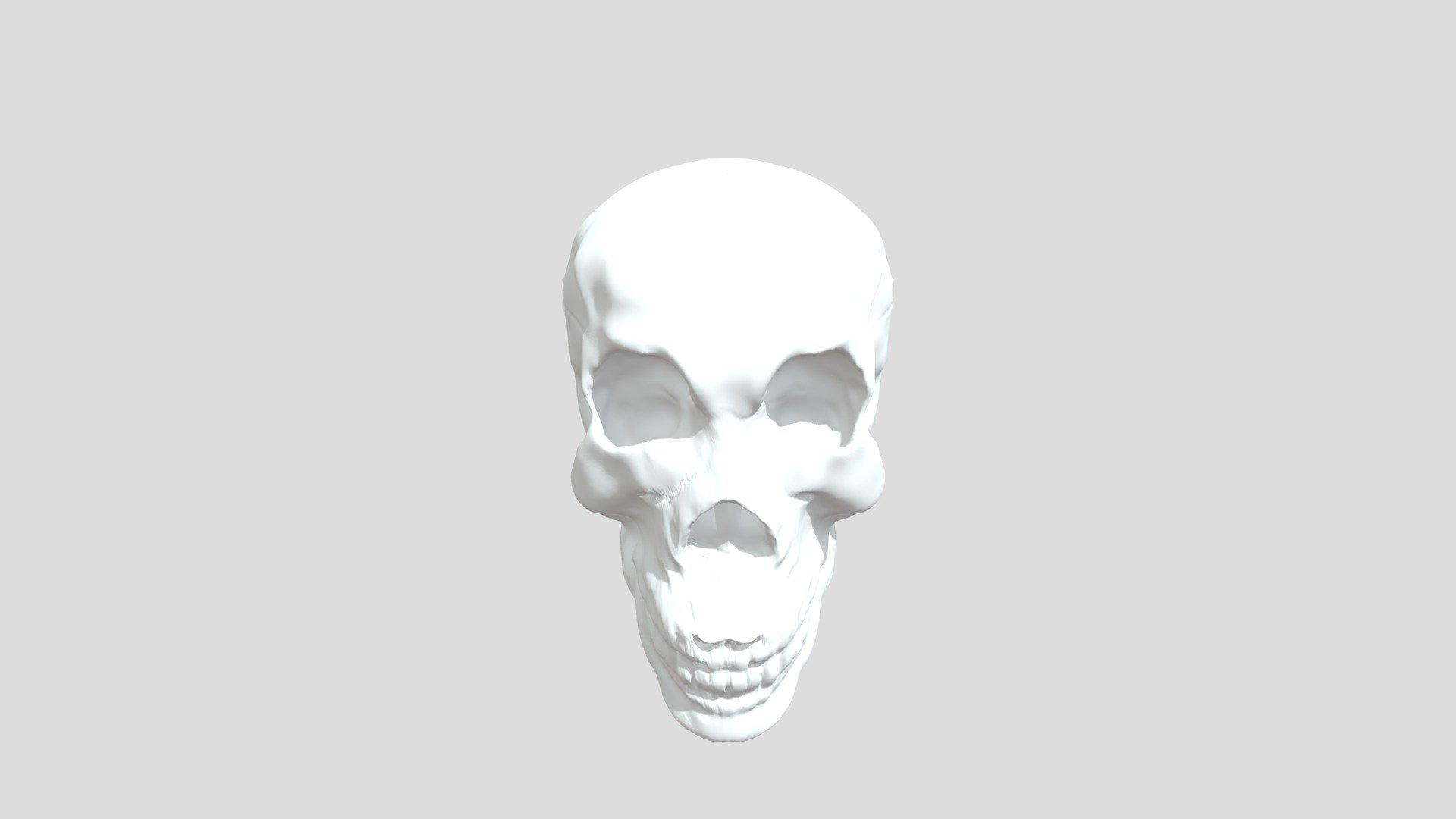 Skull