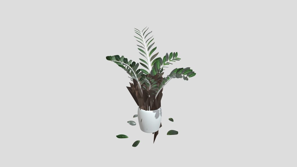Indoor Plant With Leaves On Floor