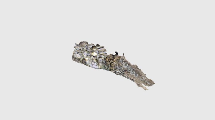 長者森古墳 石室 (LiDAR) 3D Model