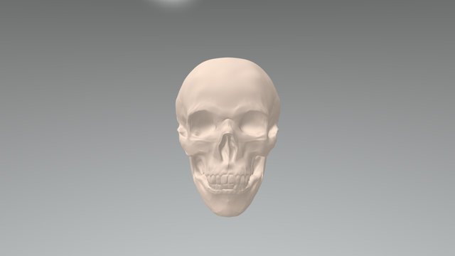Crane_Head_Skull 3D Model