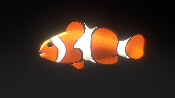 Сlownfish 3D Model