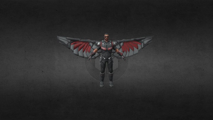 Falcon 3D Model 3D Model