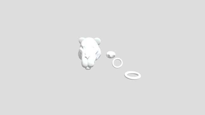 My model 3D Model