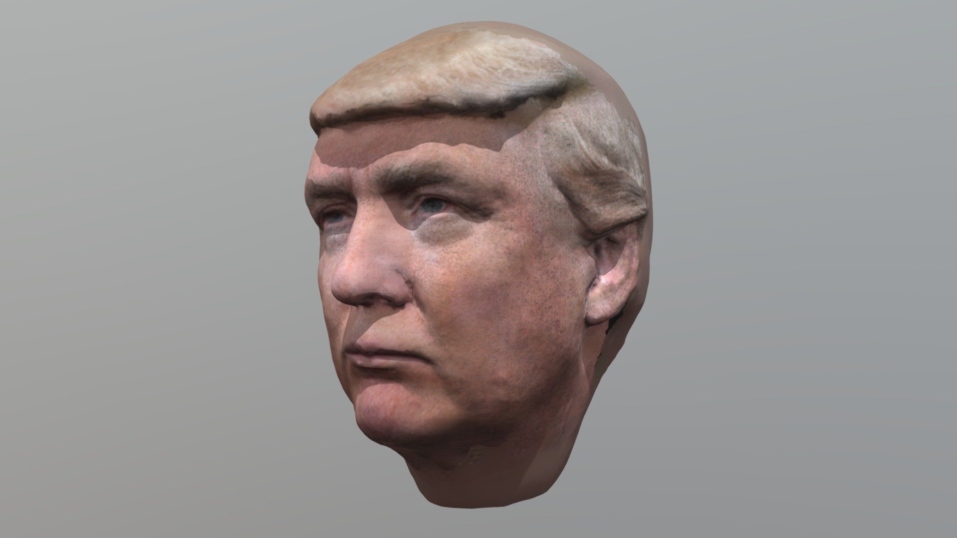 Donald Trump Head