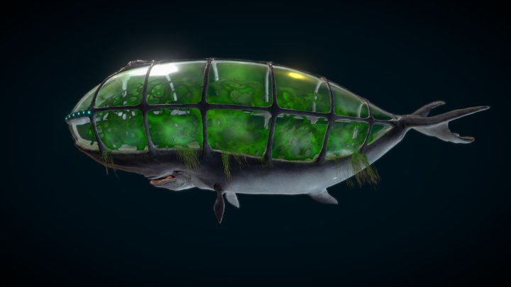 Whaleairship 3D Model