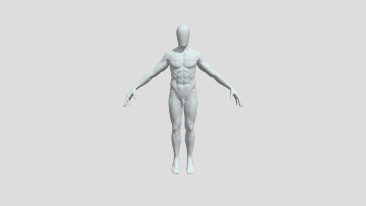 20220904_Body 3D Model