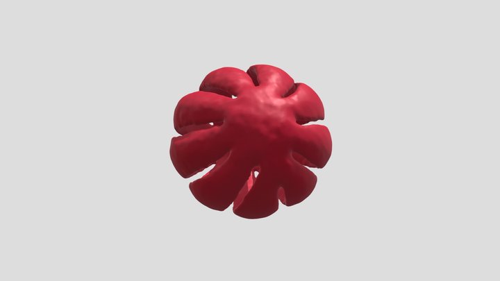 Field madder (Sherardia arvensis) pollen grain 3D Model