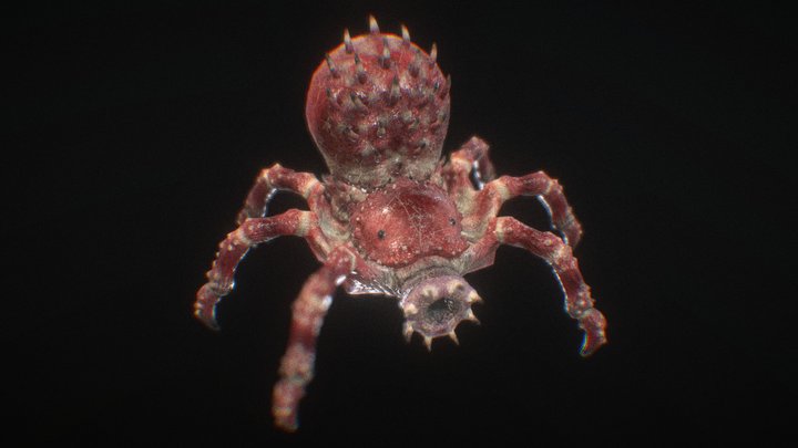 Arachnirock, the Rock Shooting Spider Thing 3D Model