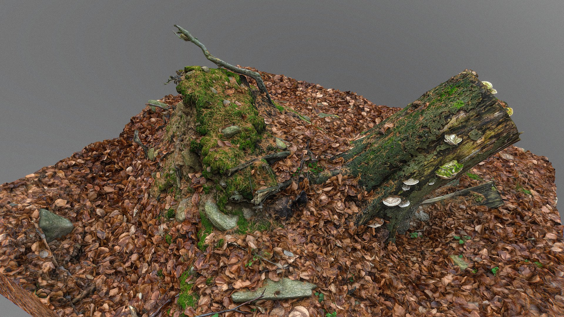 Fallen tree stump with mushrooms - Buy Royalty Free 3D model by ...