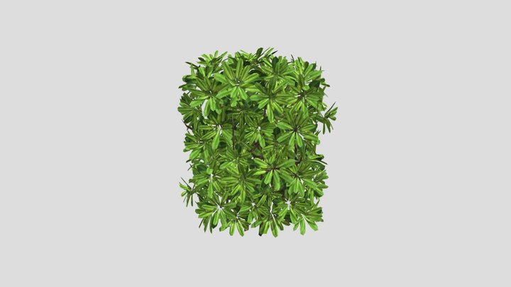 High hedge – Free 3D Model STL