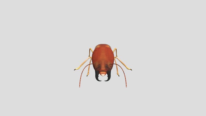 Termite Soldier 3D Model