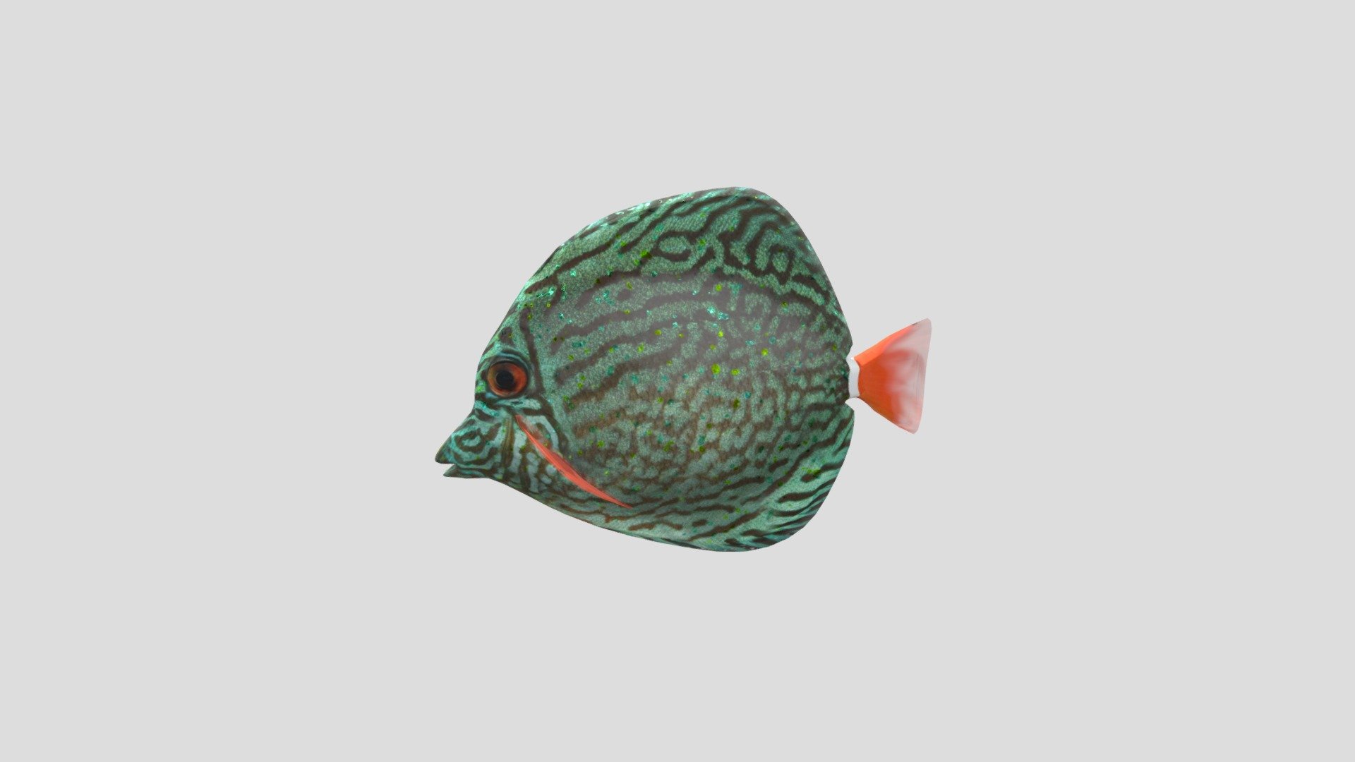 My Tropical Fish