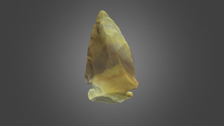 Projectile Point 3D Model