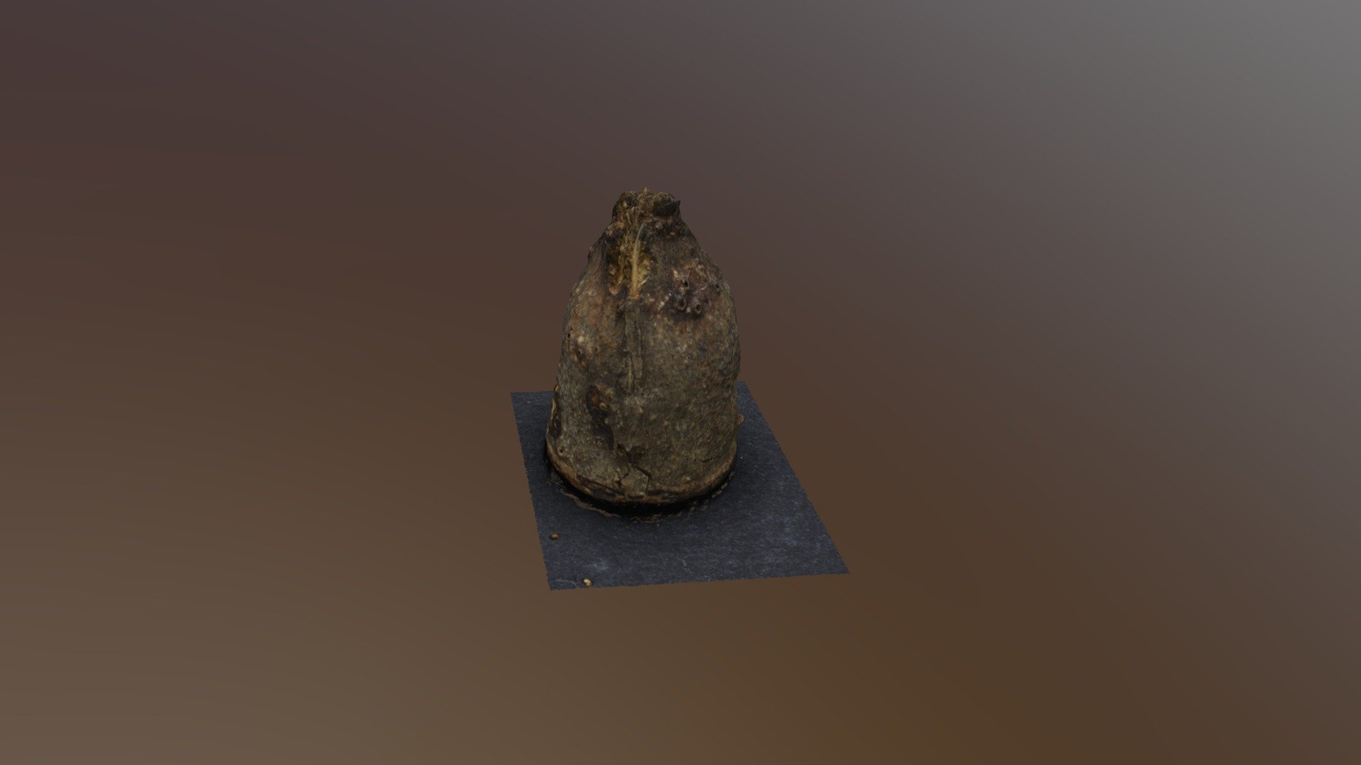 Gum Nut 3D Scan