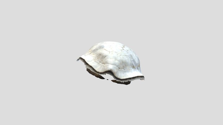 fotogrametria mueble final PERONI 3D Model