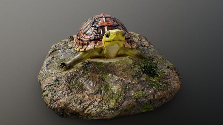 tortoise – Modèle 3D gratuit STL