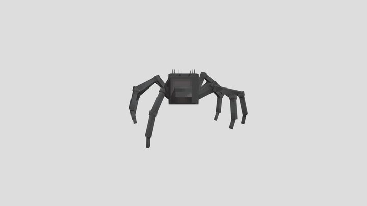 Spider 3D Model