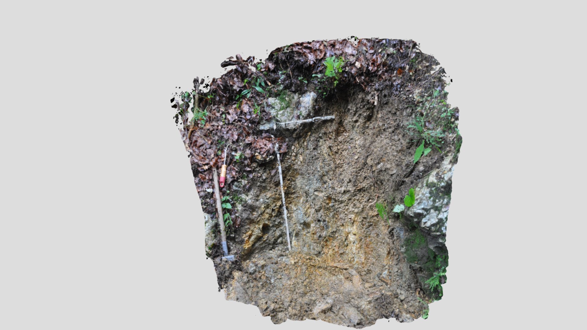 Fault gouge of the Periadriatic Fault — Sketchfab embed 3D viewer