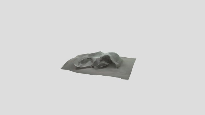 PMD 3D Model