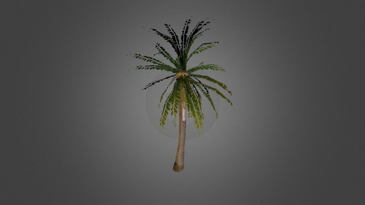 WarTorn Palm Tree 3D Model