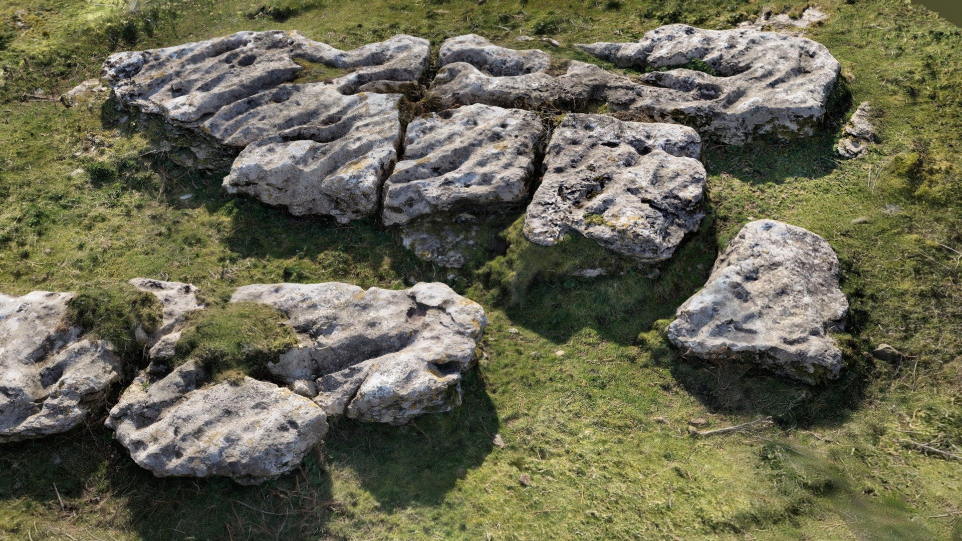 Birkrigg Outcrop