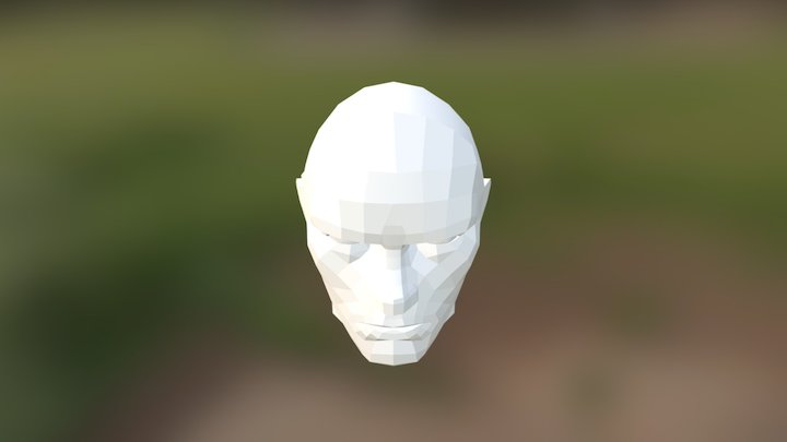 Anakin face 3D Model