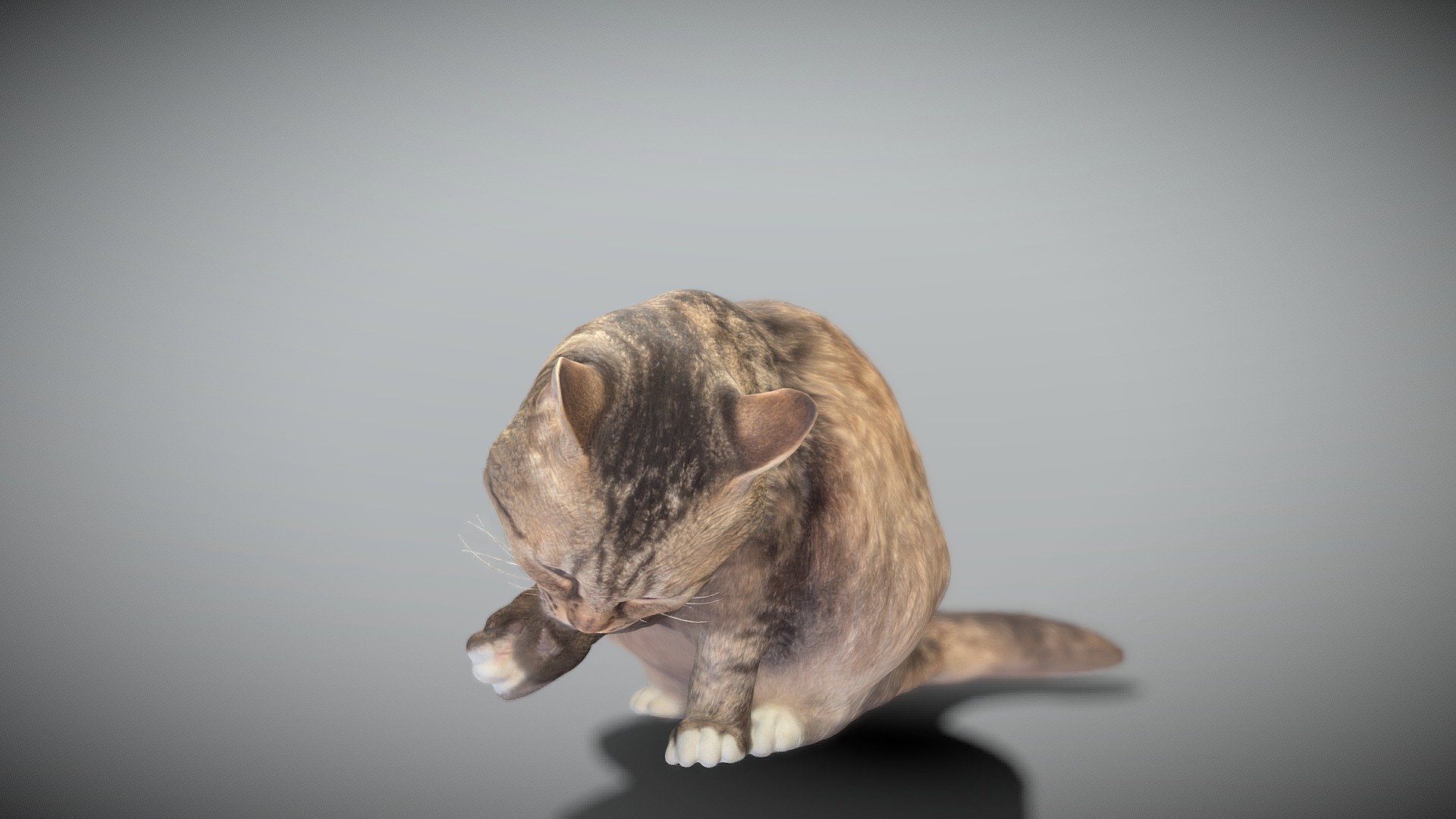 Cat Bowl Stand, 3D models download