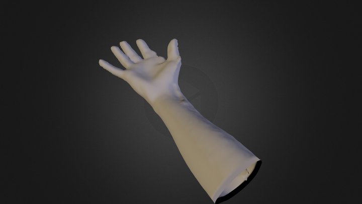 Structure Sensor - test scan 13 - Will's Hand 3D Model