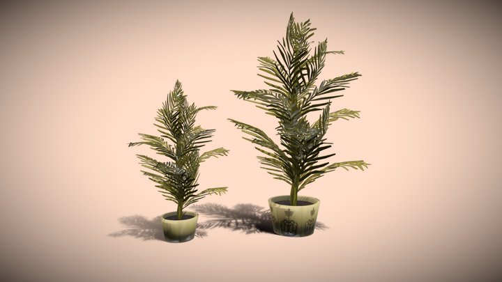 Plants 3D Model