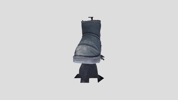 shose 3D Model
