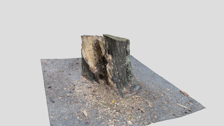 Tree Stump – Modelo 3D gratuito STL