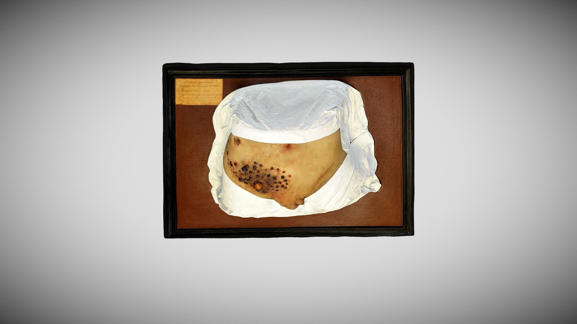 013 - 369 — Sketchfab embed 3D viewer