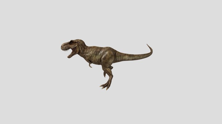 Tyrannosaurus Rex 3D Model
