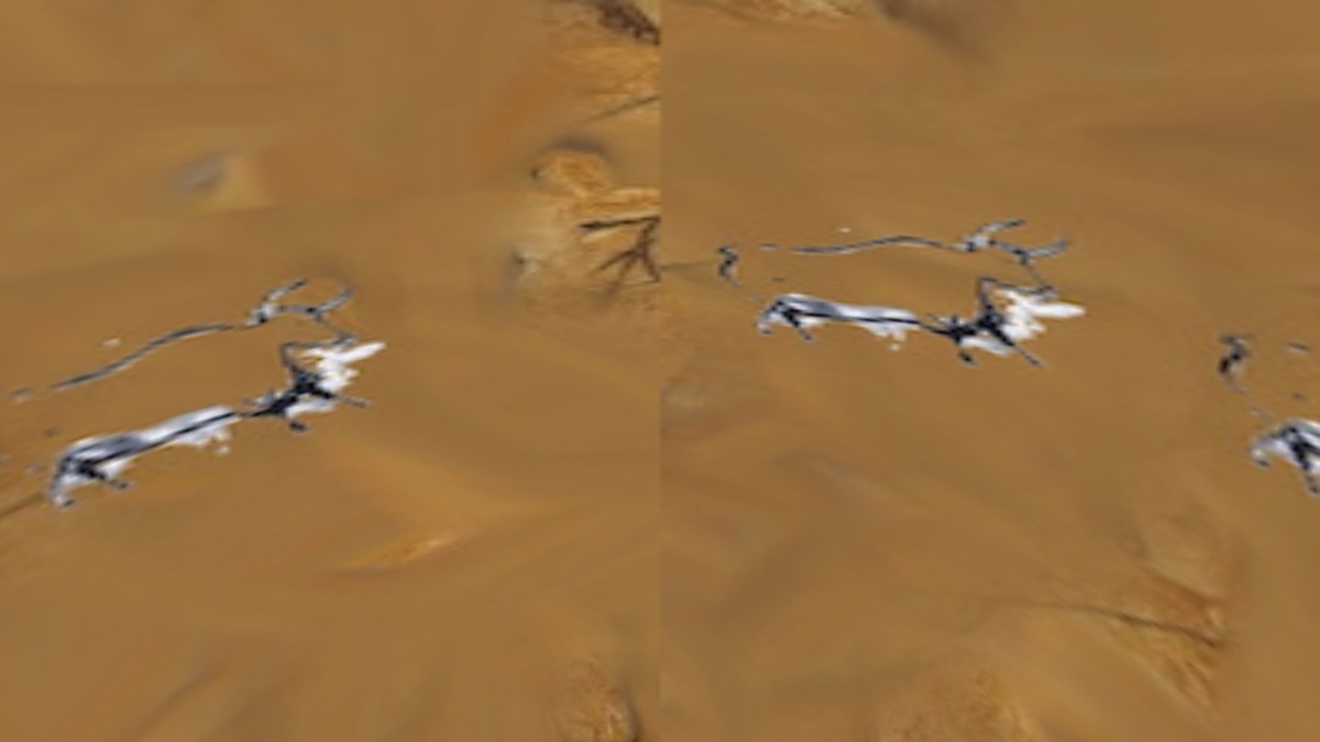 earthauroch