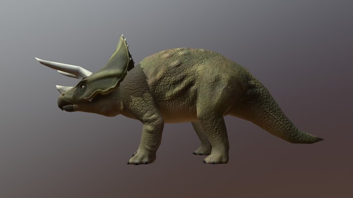 Triceratops low poly 3D Model