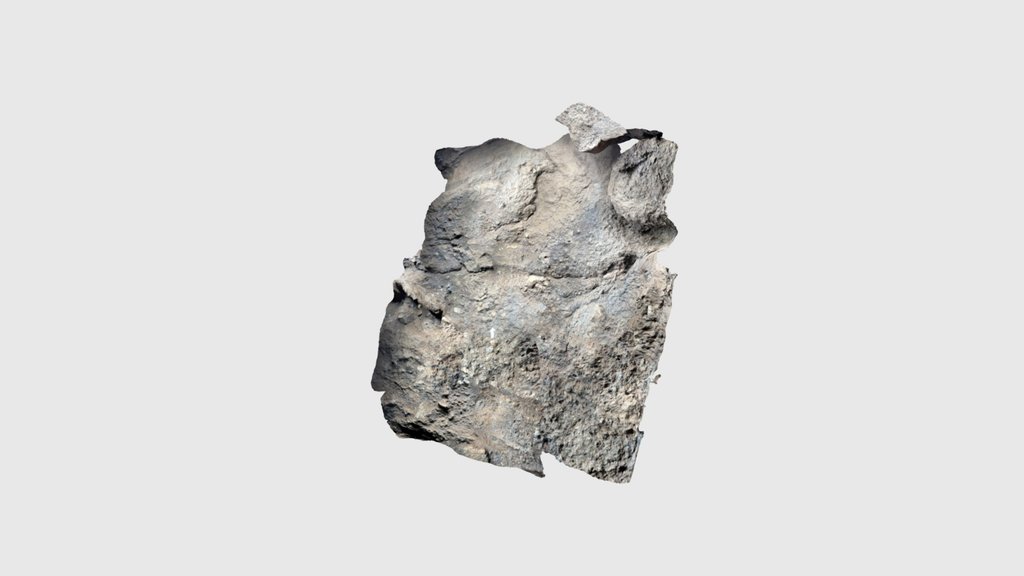 Molar 2
