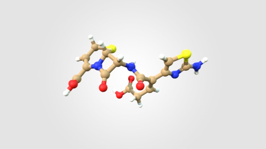 Ceftibuten - 3D model by DocCheck [693fe9d] - Sketchfab