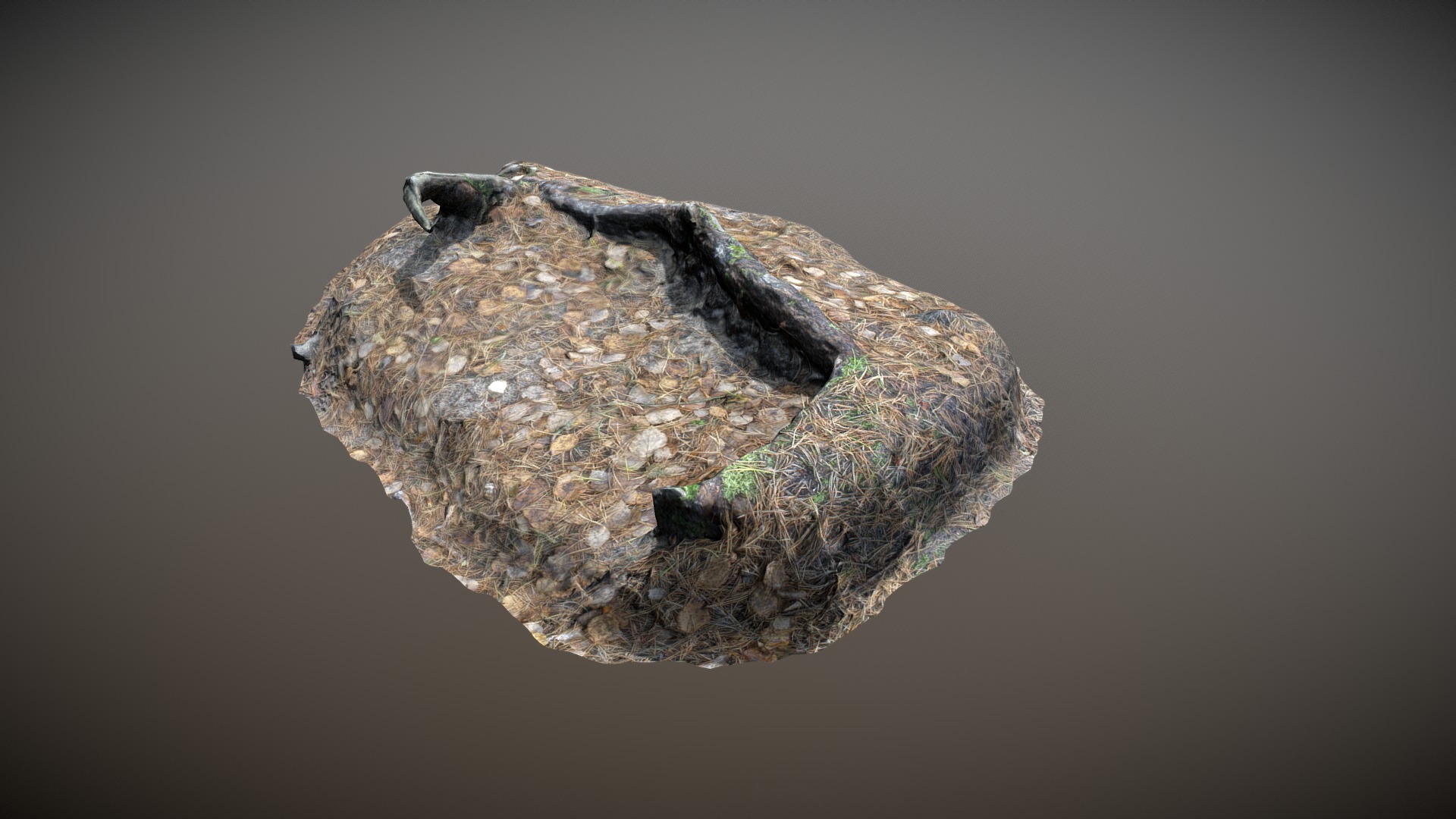 3D model Nature Forest Stuff 010 - This is a 3D model of the Nature Forest Stuff 010. The 3D model is about a close-up of a rock.