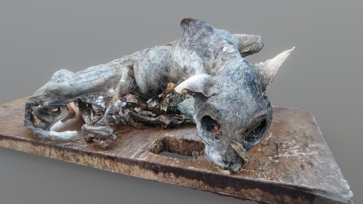 Brora old School mummified cat 3D Model