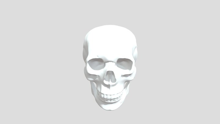 Skull 3d Model 3D Model