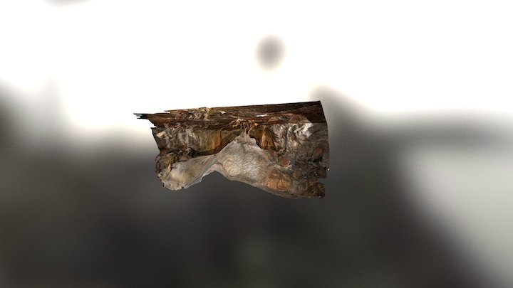 Helictites (eccentric stalactites) 3D Model