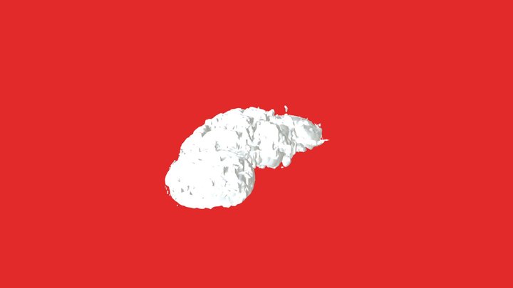 Fly Brain 3D Model