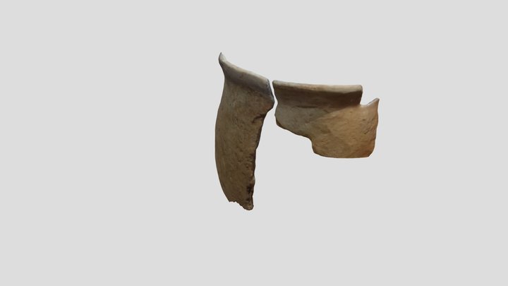 CTM 1-256 3D Model