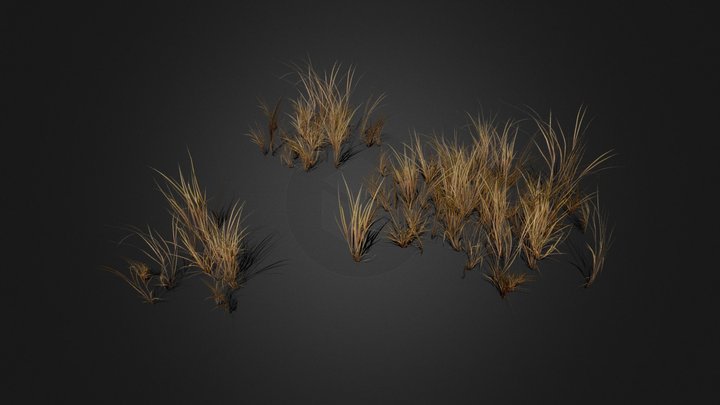 Grass patches 3D Model