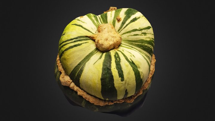 3D scan Turks Turban Squash 3k Polys 3D Model