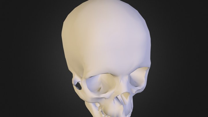 skull.obj 3D Model