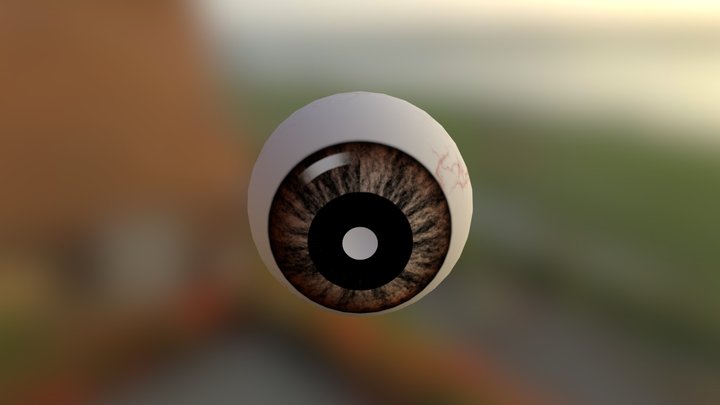 Eyeball 3D Model